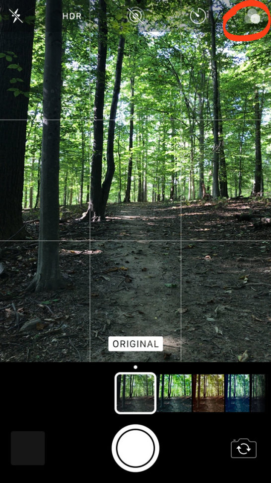 How To Use Your iPhone 8 Camera To Shoot Stunning Photos