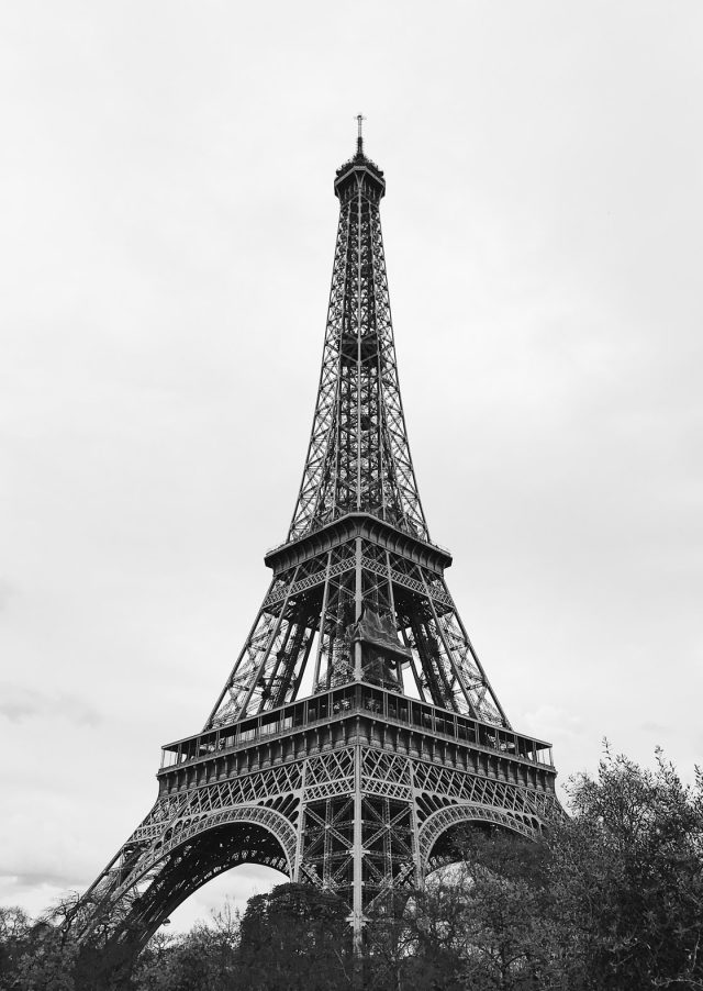 How To Use Your iPhone 8 Camera To Shoot Stunning Photos