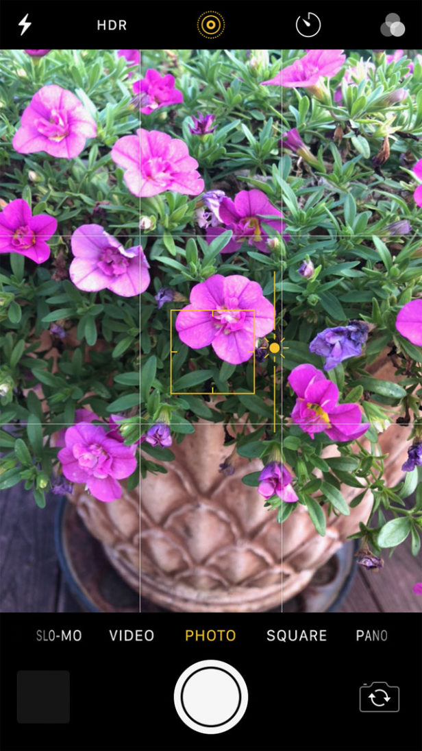 How To Use Your iPhone 8 Camera To Shoot Stunning Photos