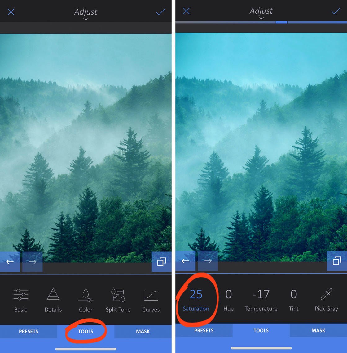 How to use enlight app on iphone 24 no script