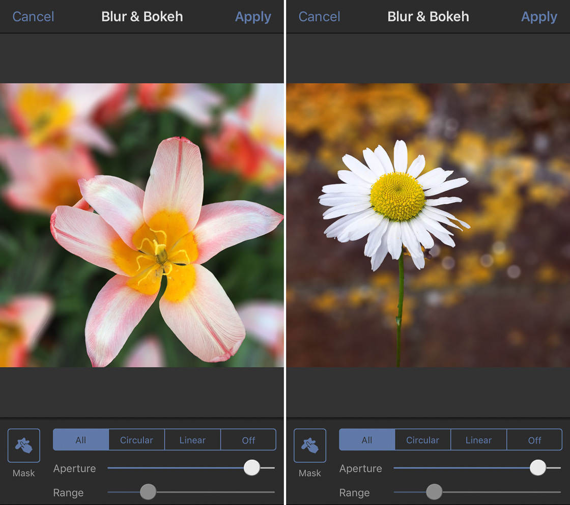 Discover The Best Blur Background App For Blurring Your iPhone Photos