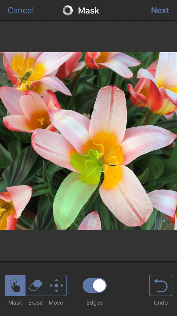 Discover The Best Blur Background App For Blurring Your iPhone Photos
