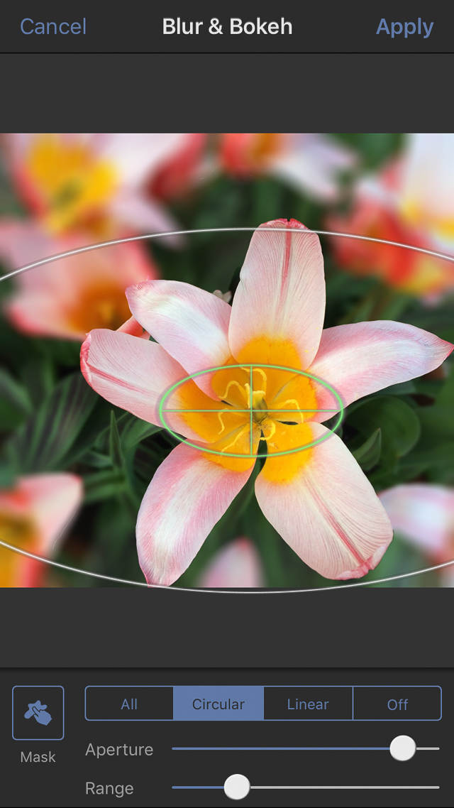 Discover The Best Blur Background App For Blurring Your iPhone Photos