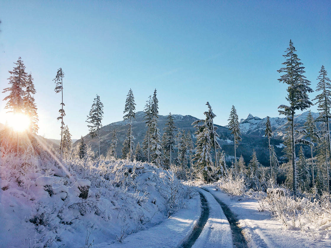 fotografía de invierno 41