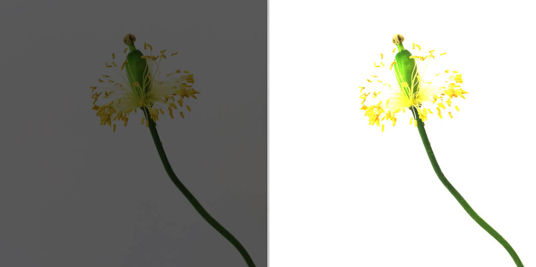 HDR Meaning Complete Guide To Using HDR In The iPhone Camera App