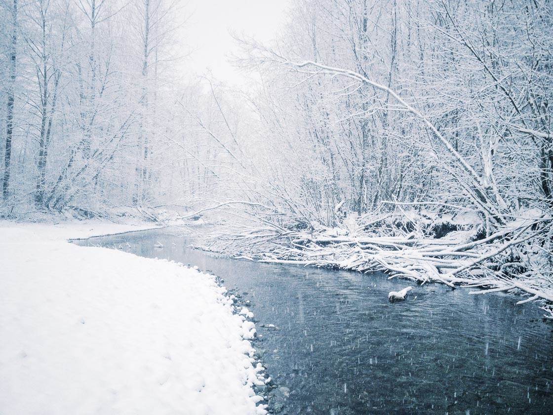 Fotografía de invierno 4