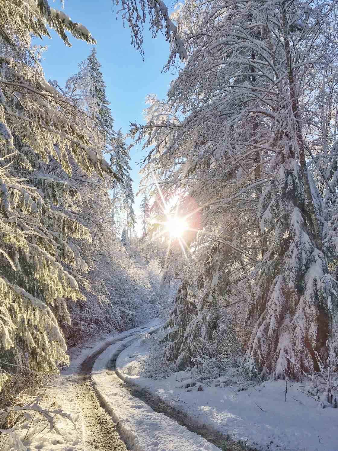 fotografía de invierno 43