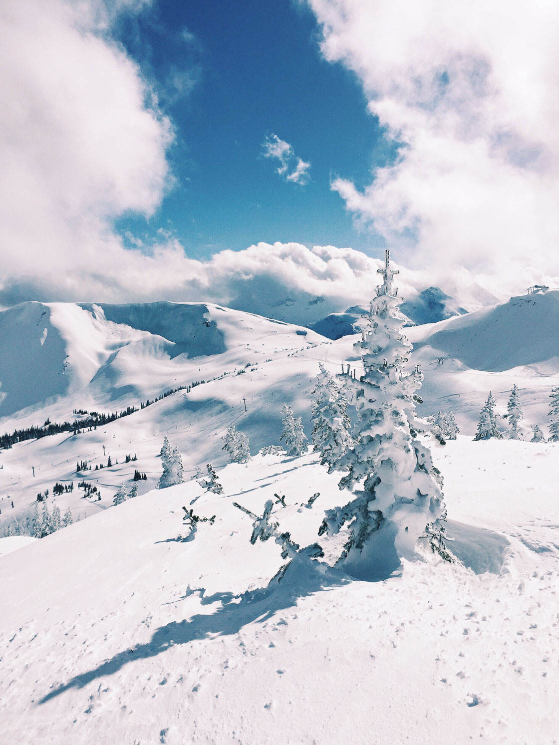 fotografía de invierno 20