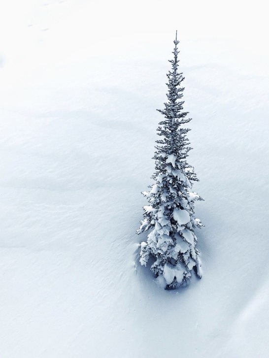 9 Tips For Astonishing Winter Photography On Your iPhone