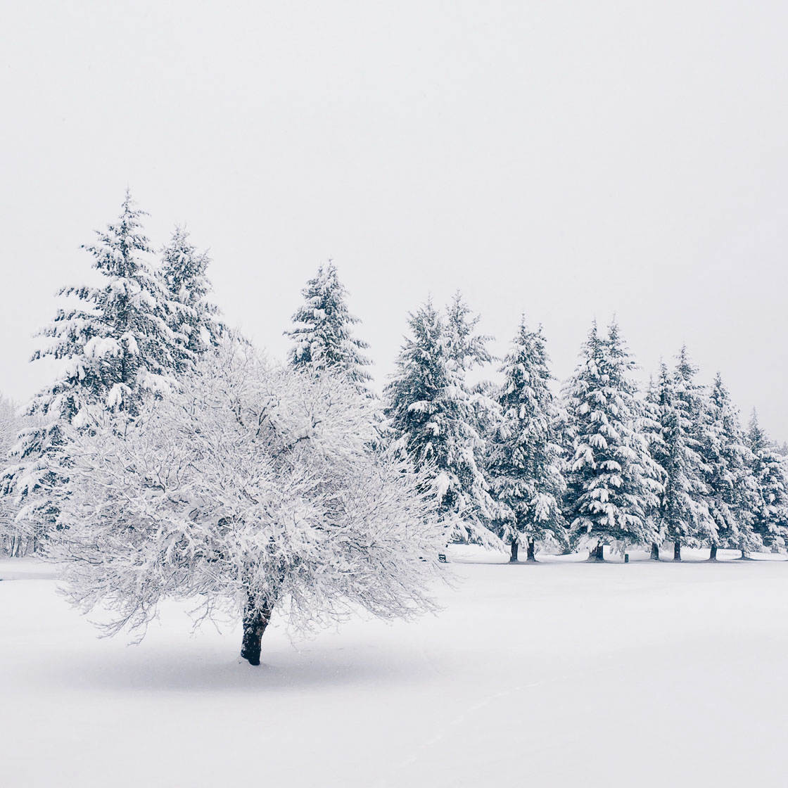 Winter photography 27