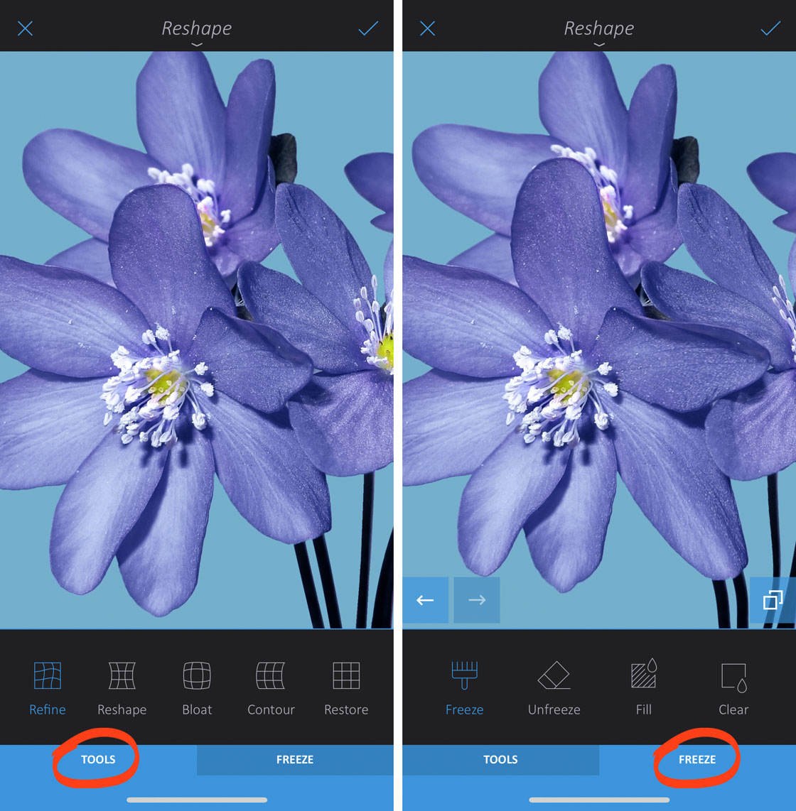 How to use enlight app on iphone 62 no script