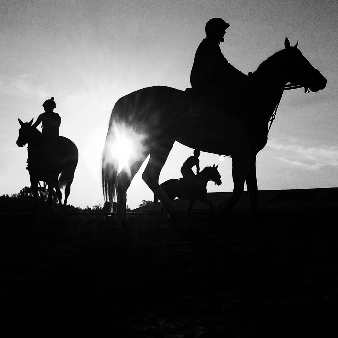 Black and white silhouette photography 4