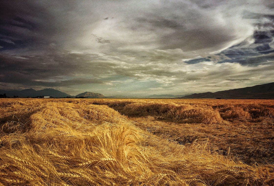 Fotografía de paisajes dramáticos 4