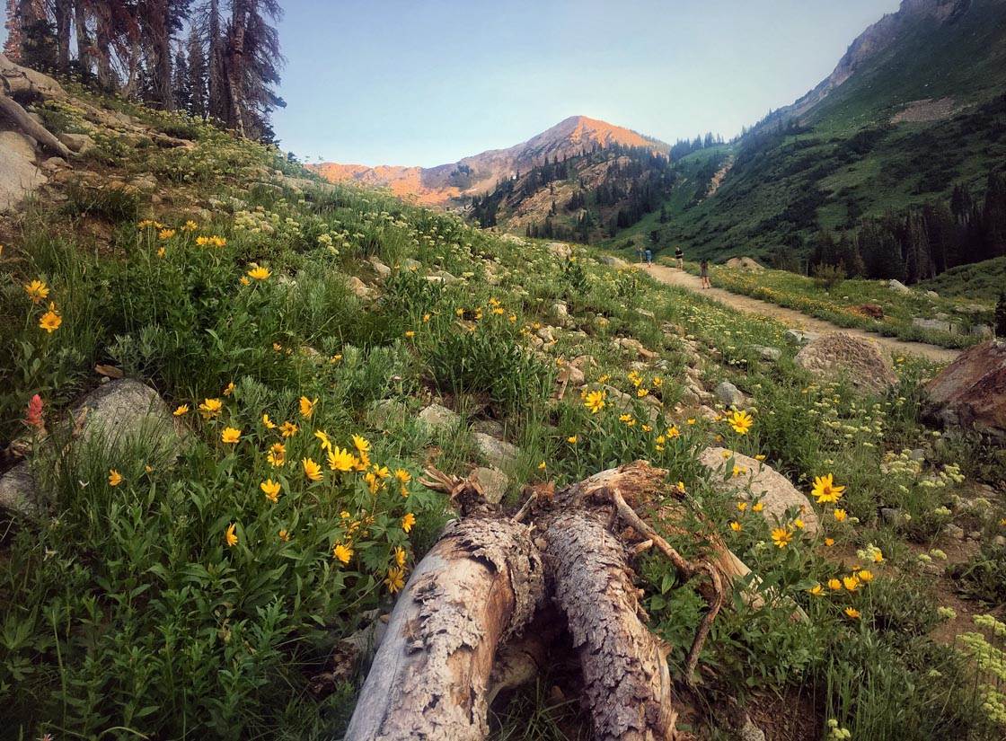 Fotografía de paisajes dramáticos 5