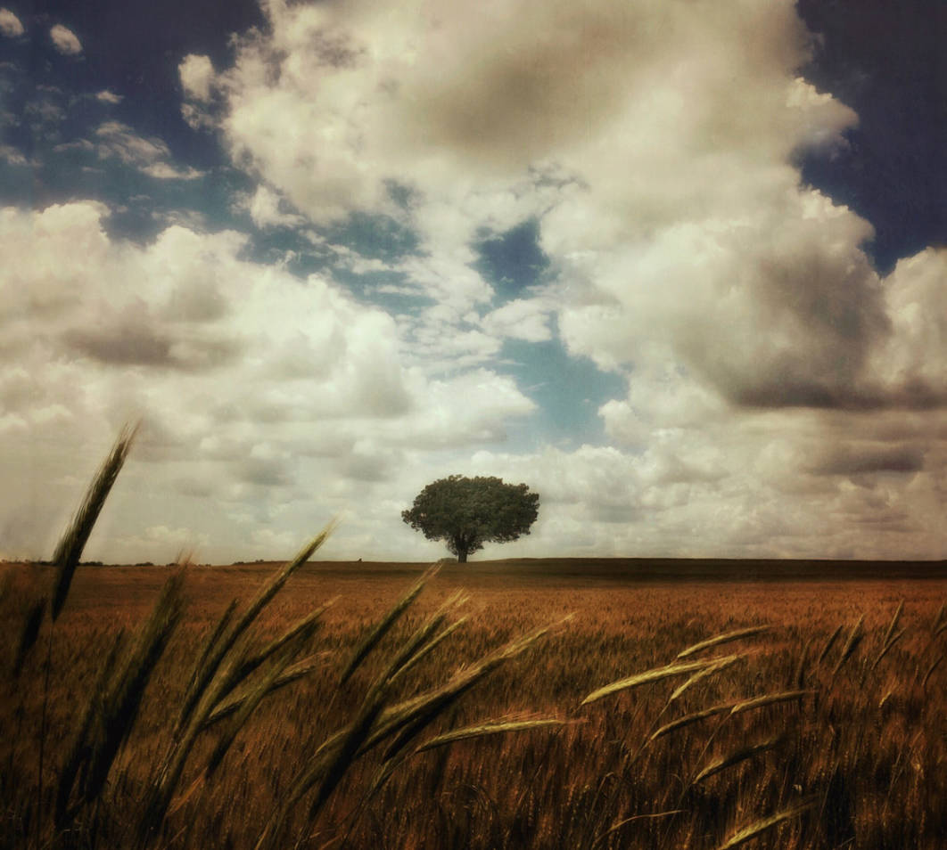 8 Tips For Incredible Rural Landscape Photography On iPhone