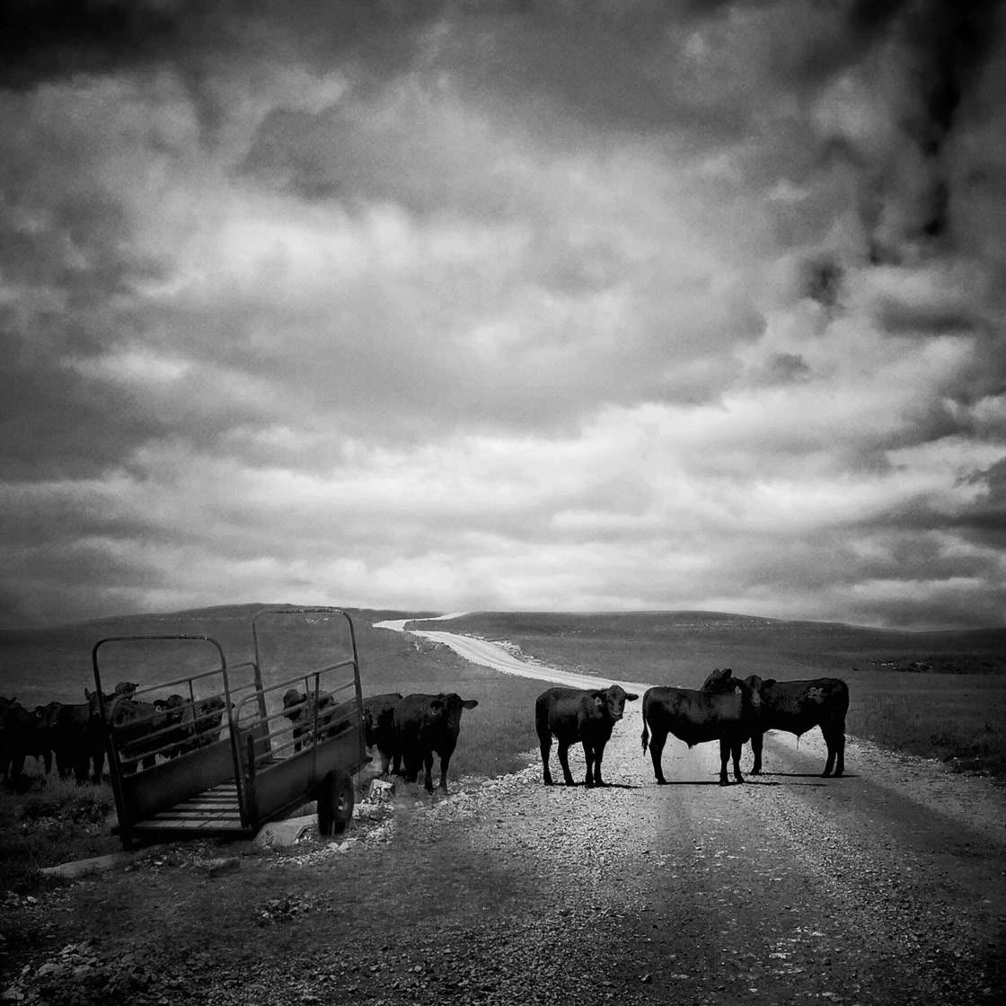 Rural landscape photography 18 no script