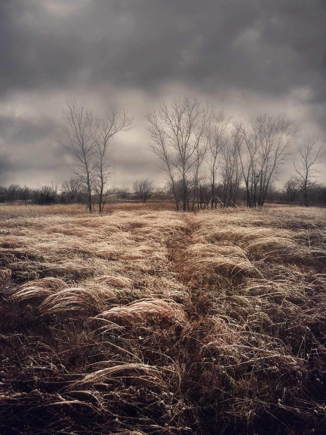 8 Tips For Incredible Rural Landscape Photography On iPhone
