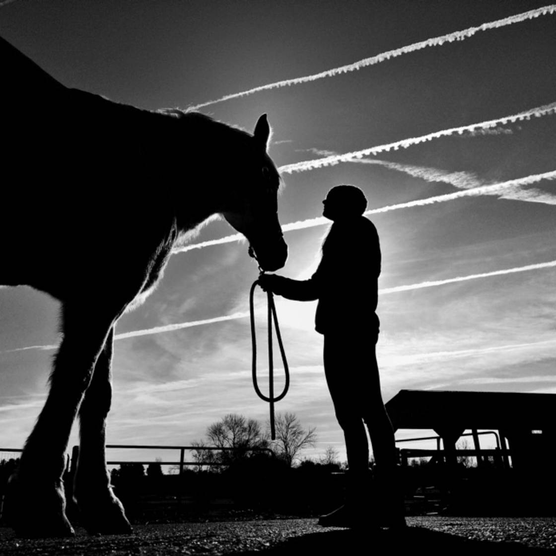 Black and white silhouette photography 22