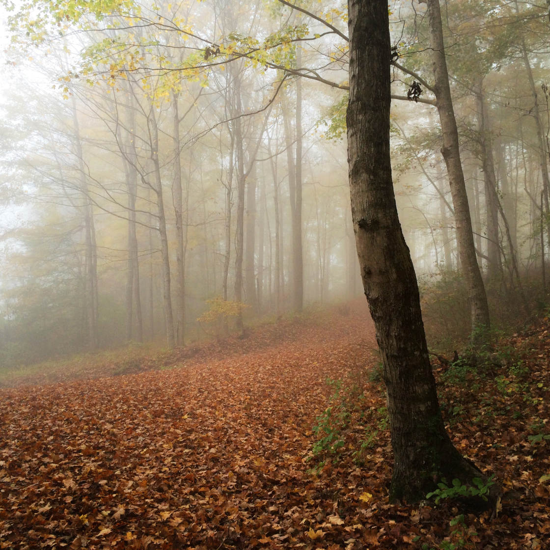 moody landscape photography no script