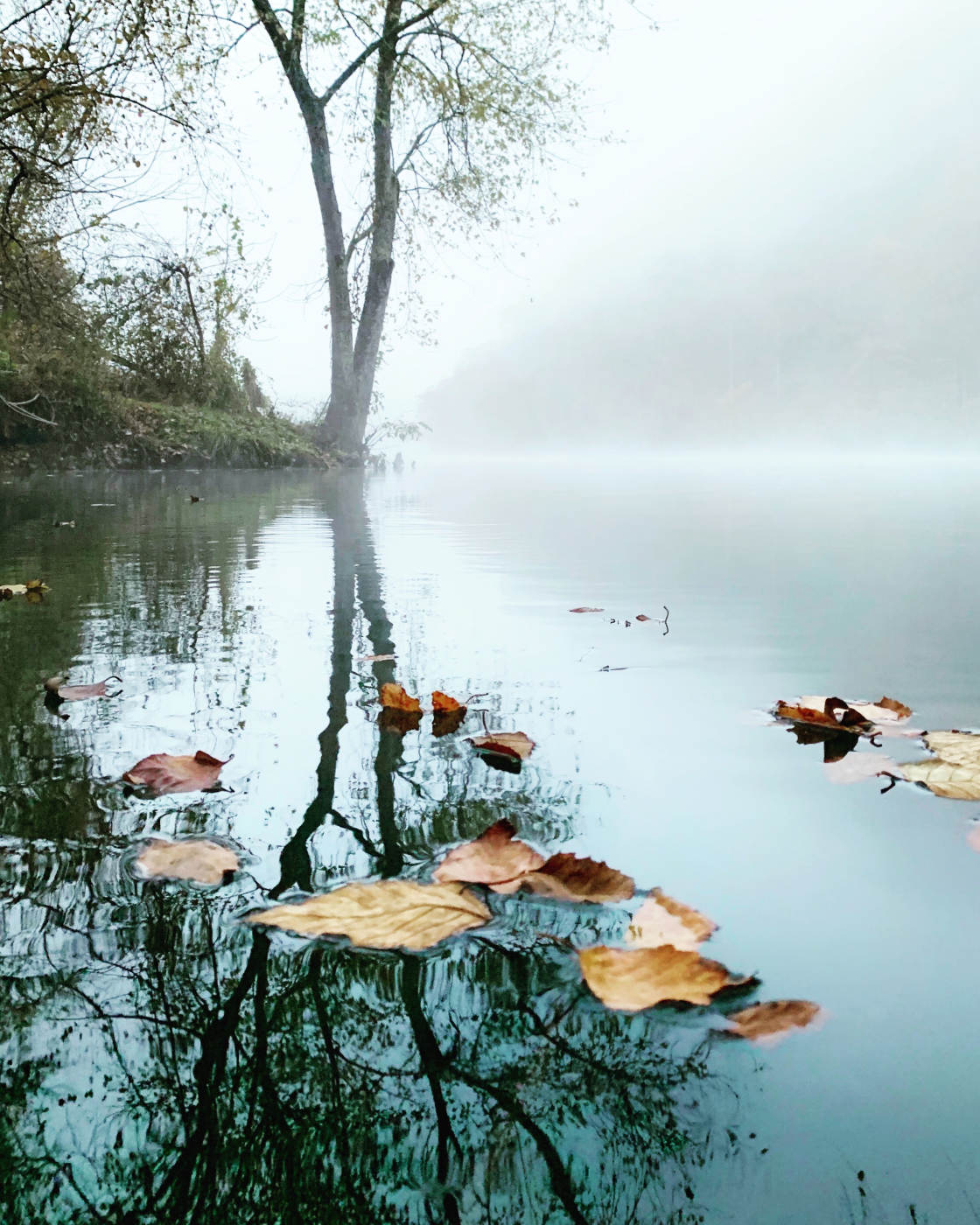 fotografía de paisaje cambiante