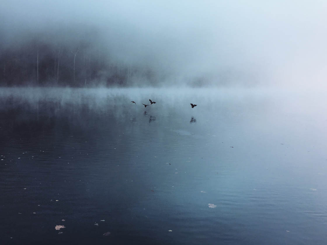 moody landscape photography