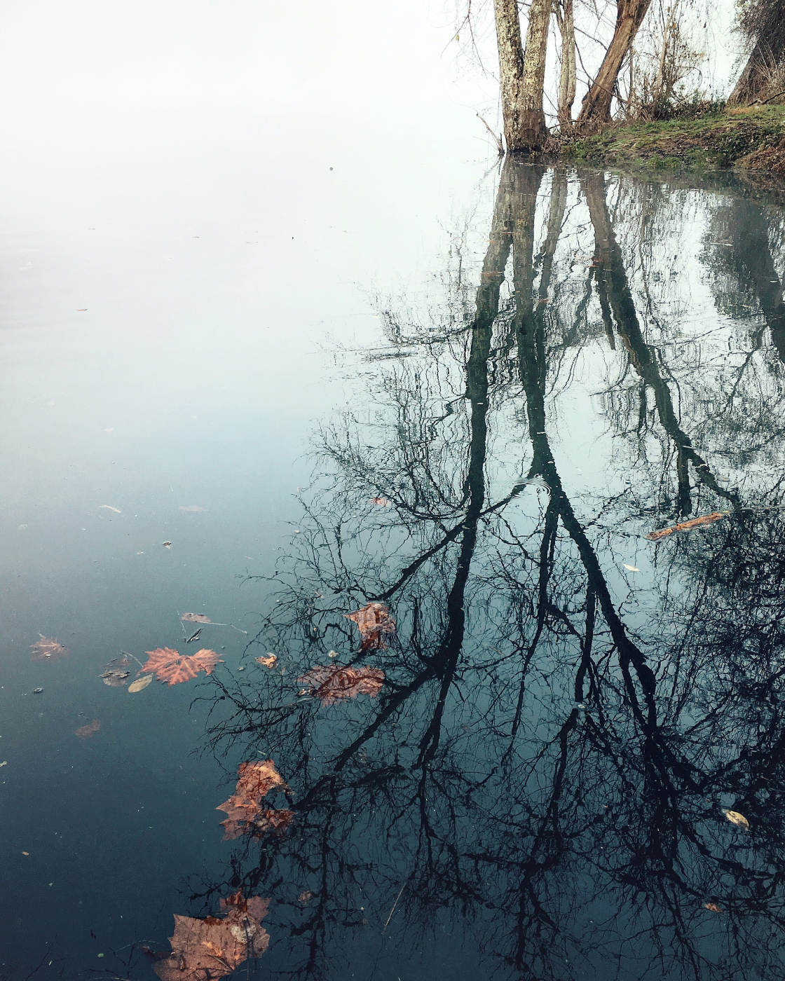 fotografía de paisaje cambiante