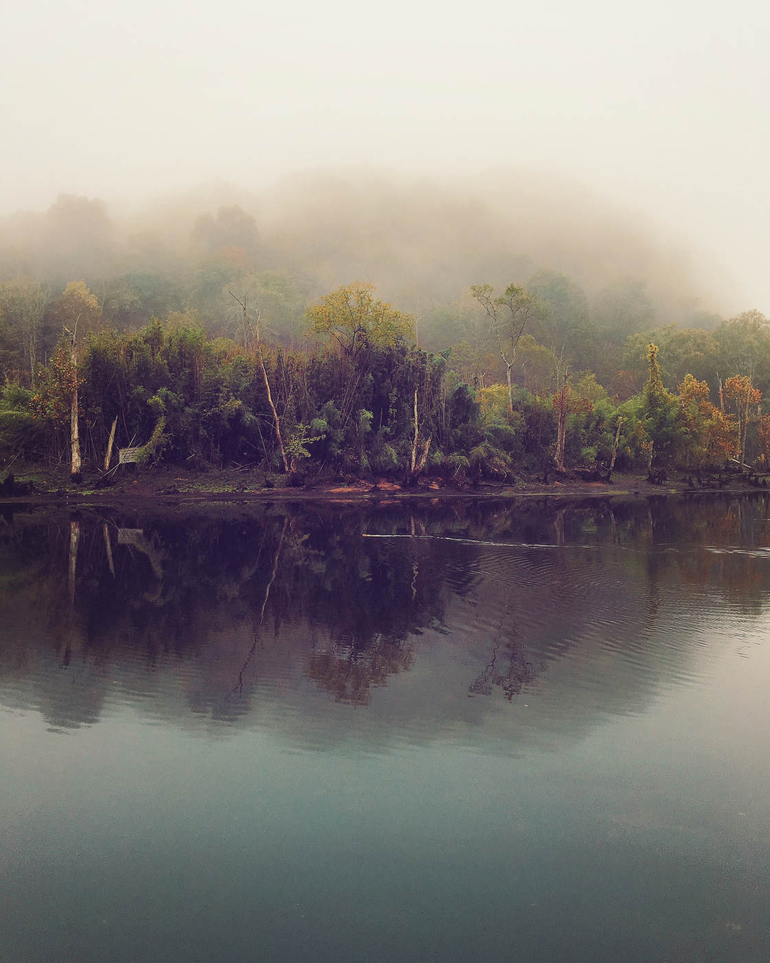 fotografía de paisaje cambiante