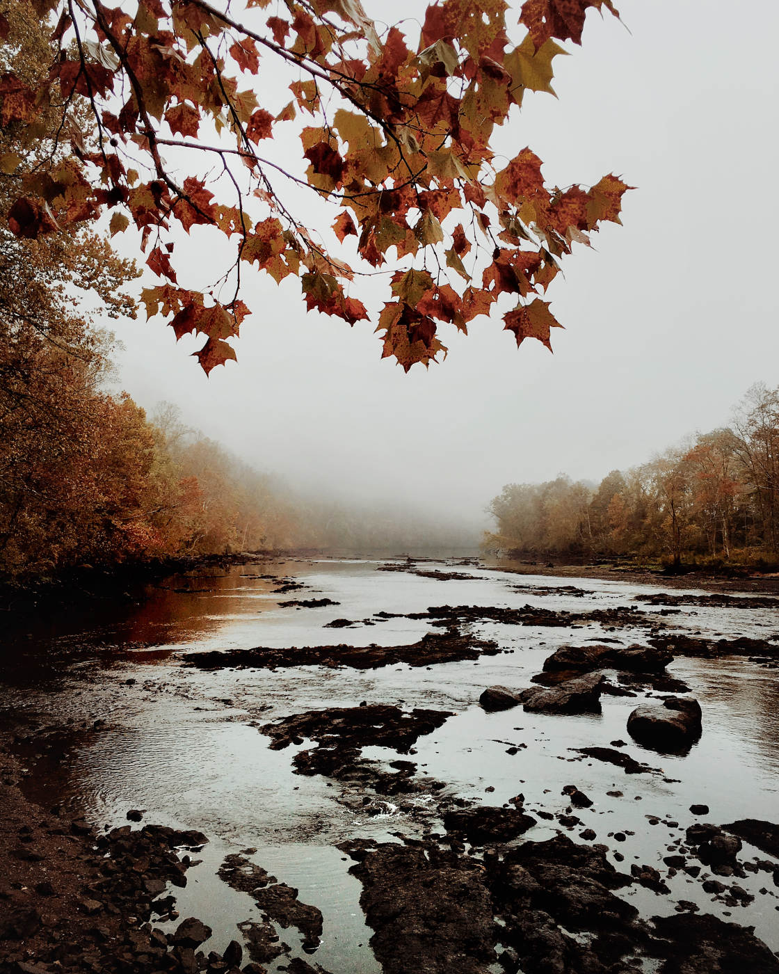 moody landscape photography