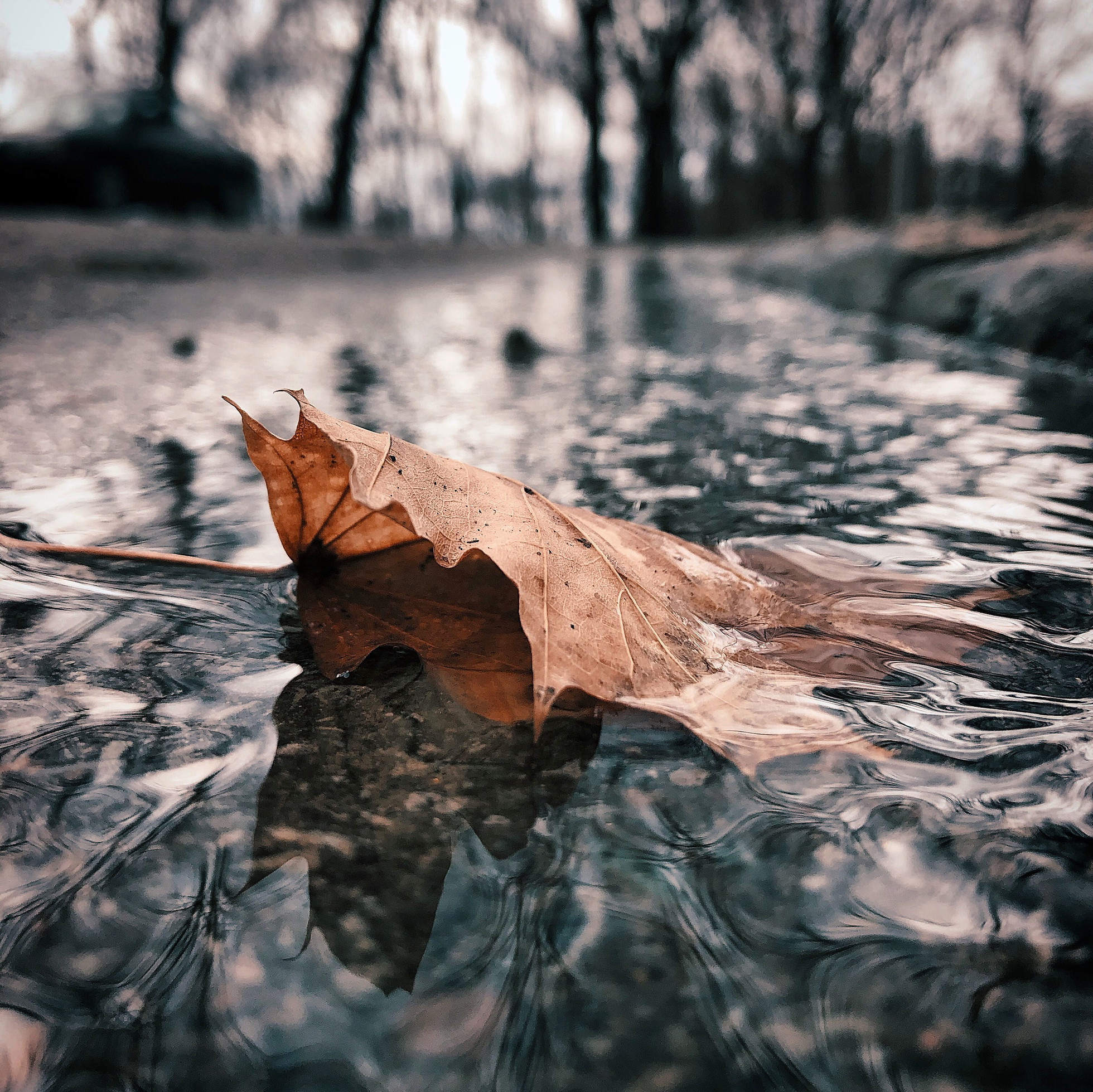 823 Background Image Pictures MyWeb