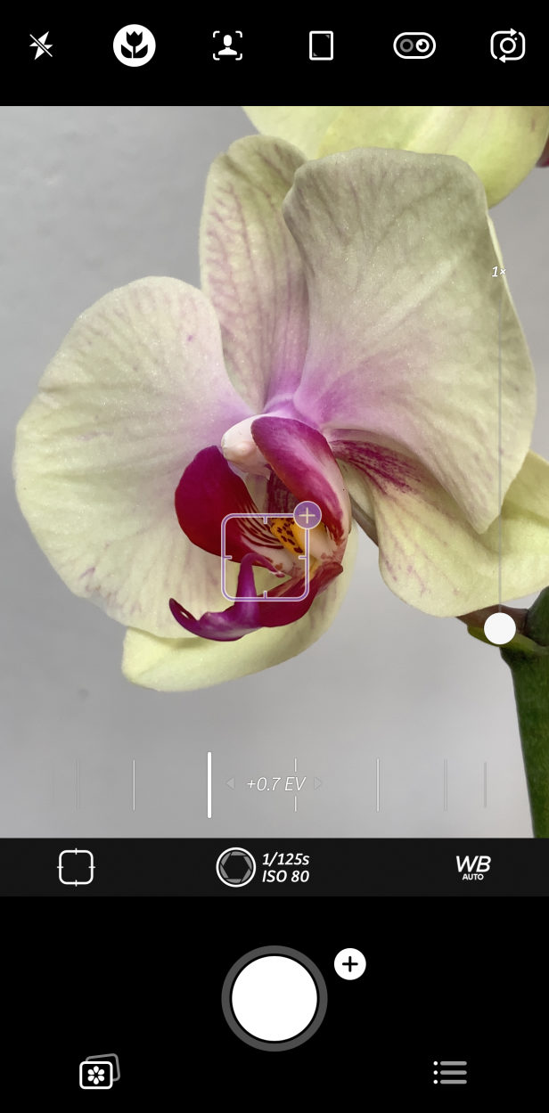 Discover The Best Camera App For Your iPhone Photography