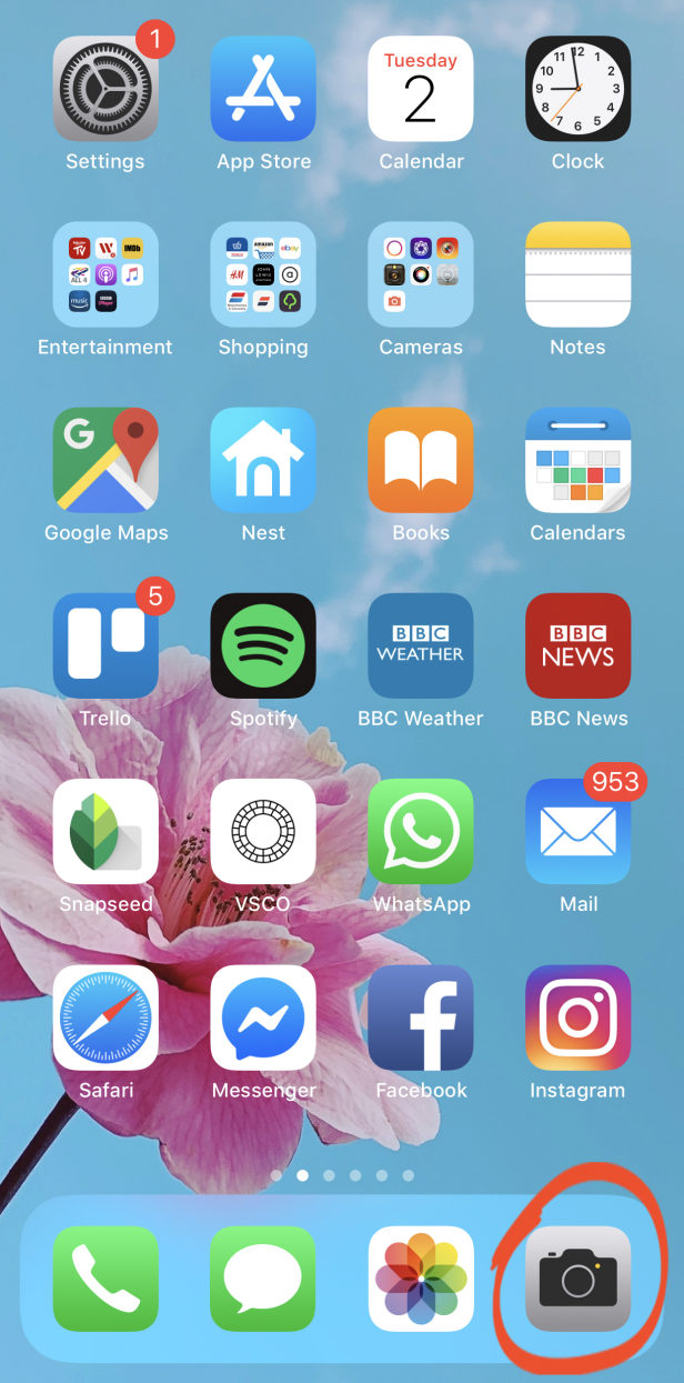 How To Use iPhone XS Camera To Shoot Spectacular Photos