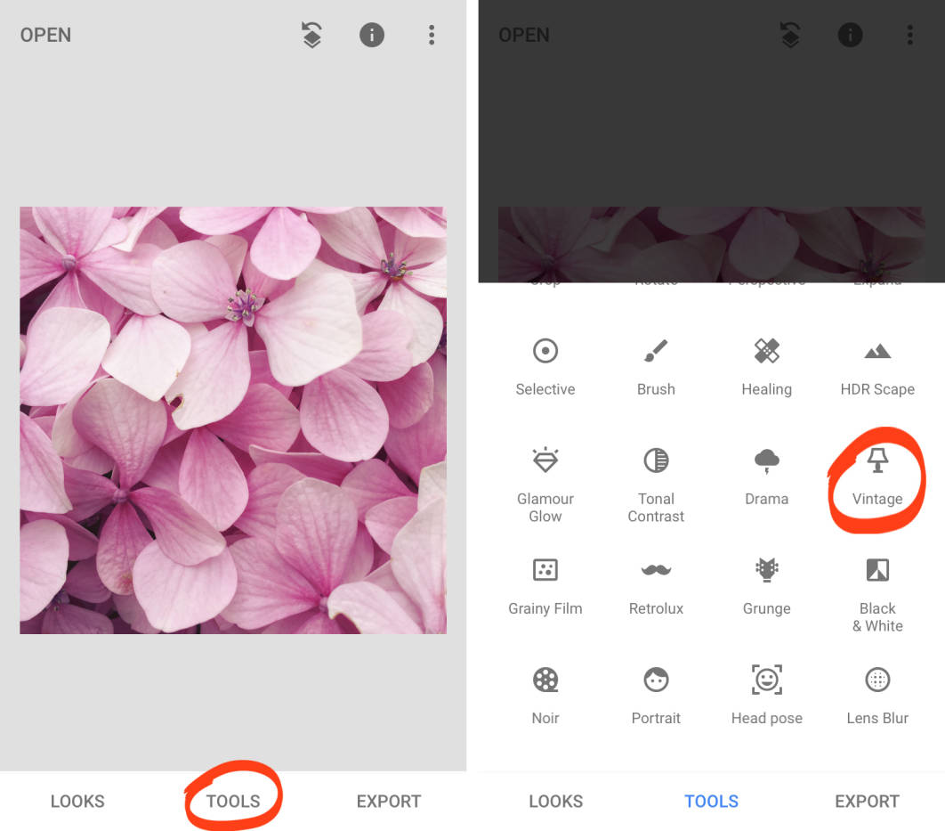 Complete Guide To Using Snapseed To Edit Your iPhone Photos