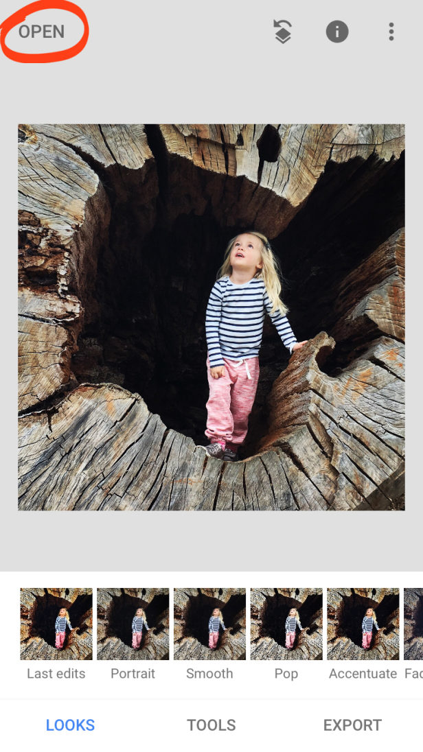 Complete Guide To Using Snapseed To Edit Your iPhone Photos