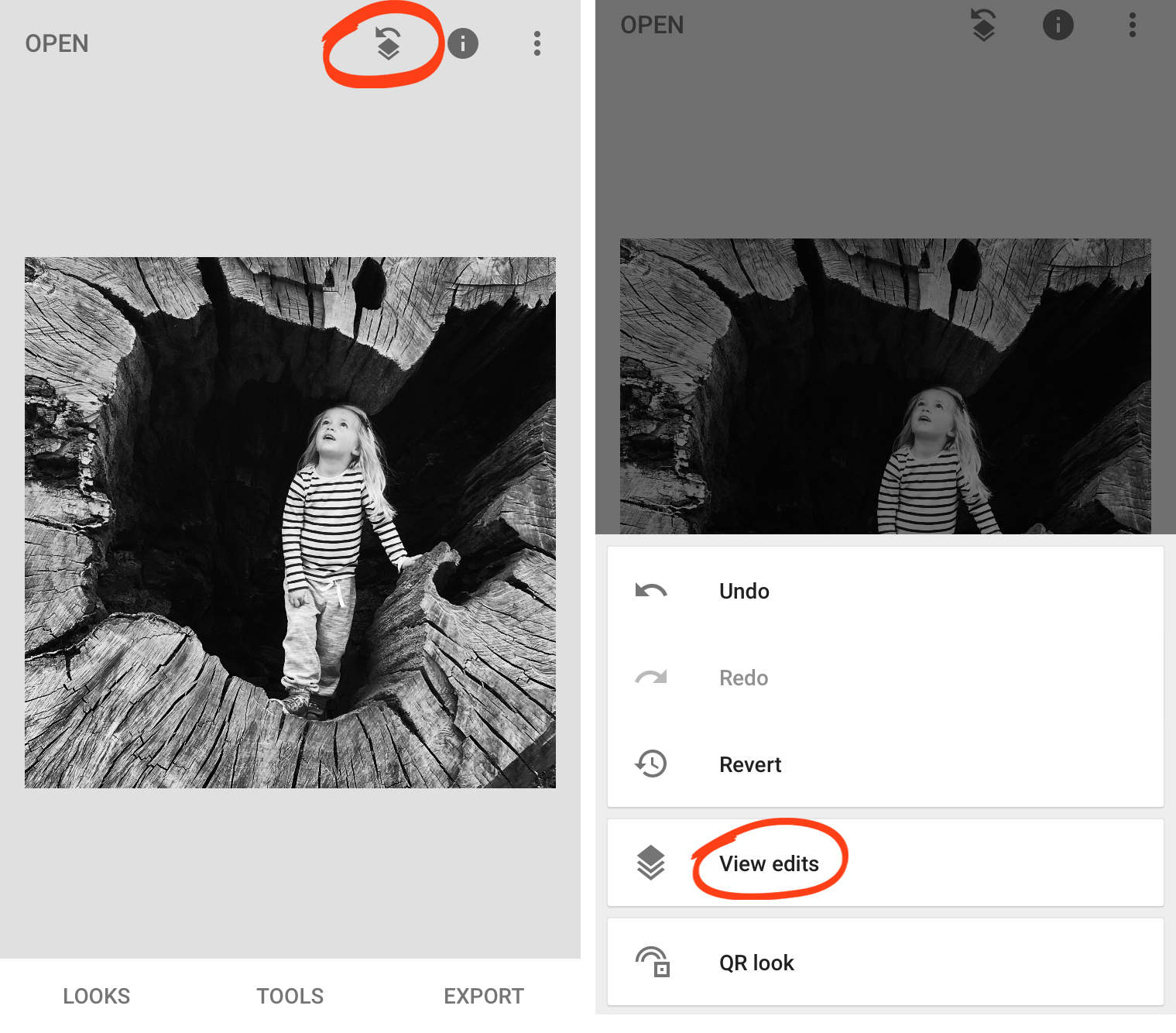 Complete Guide To Using Snapseed To Edit Your iPhone Photos