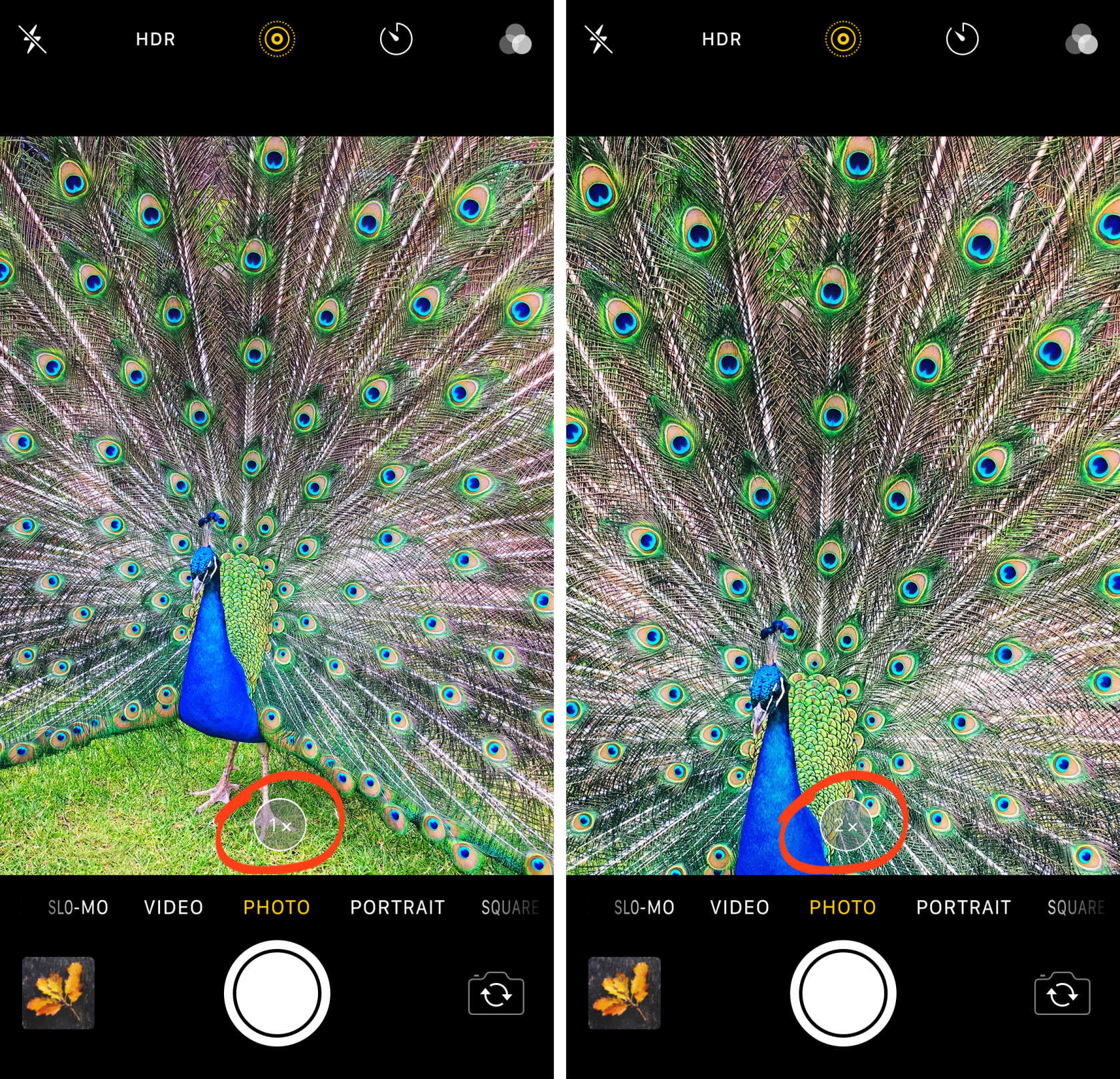 9 iPhone Camera Effects For Taking More Creative Photos