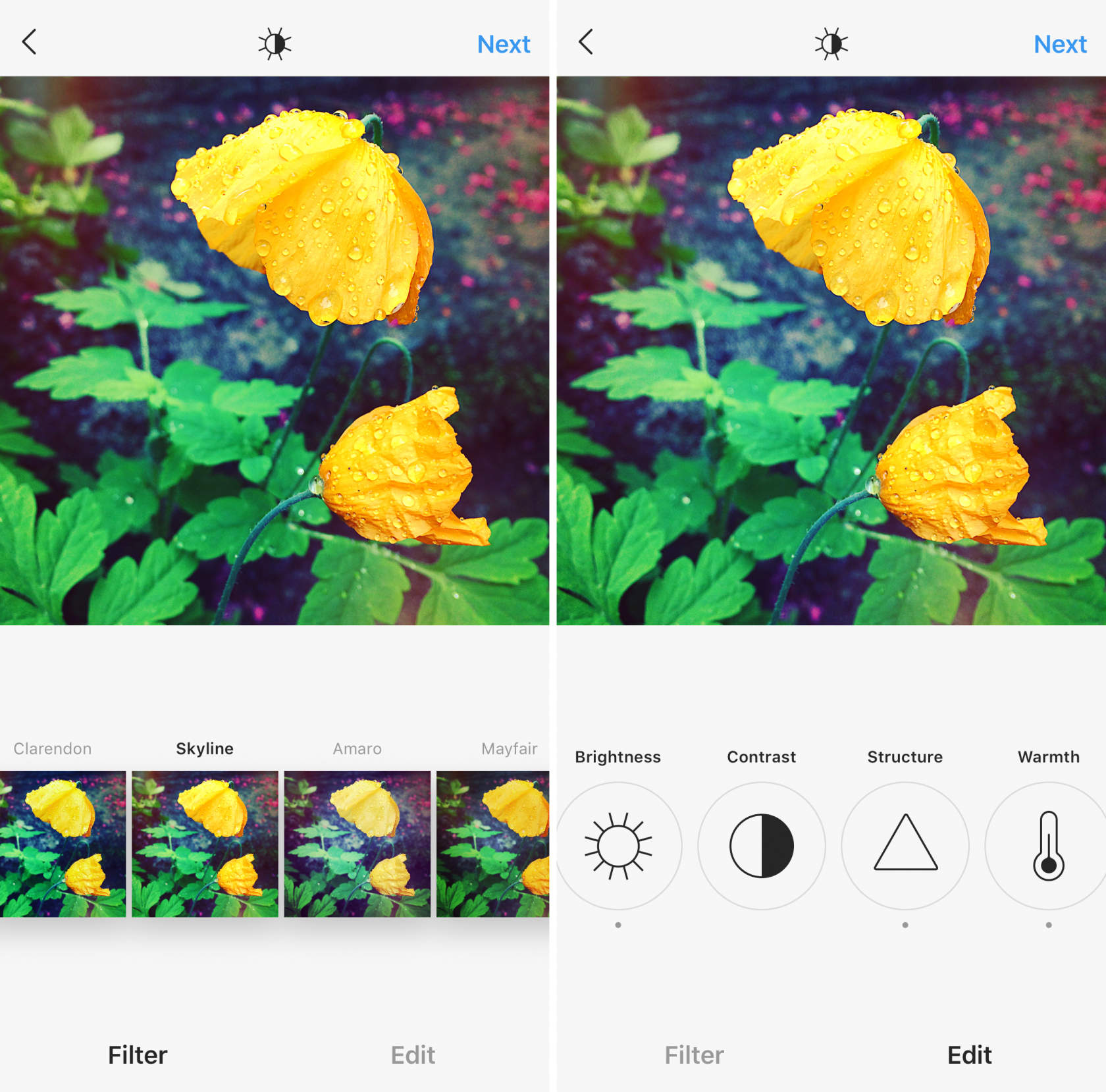 Discover The Best Filter App For Enhancing Your iPhone Photos