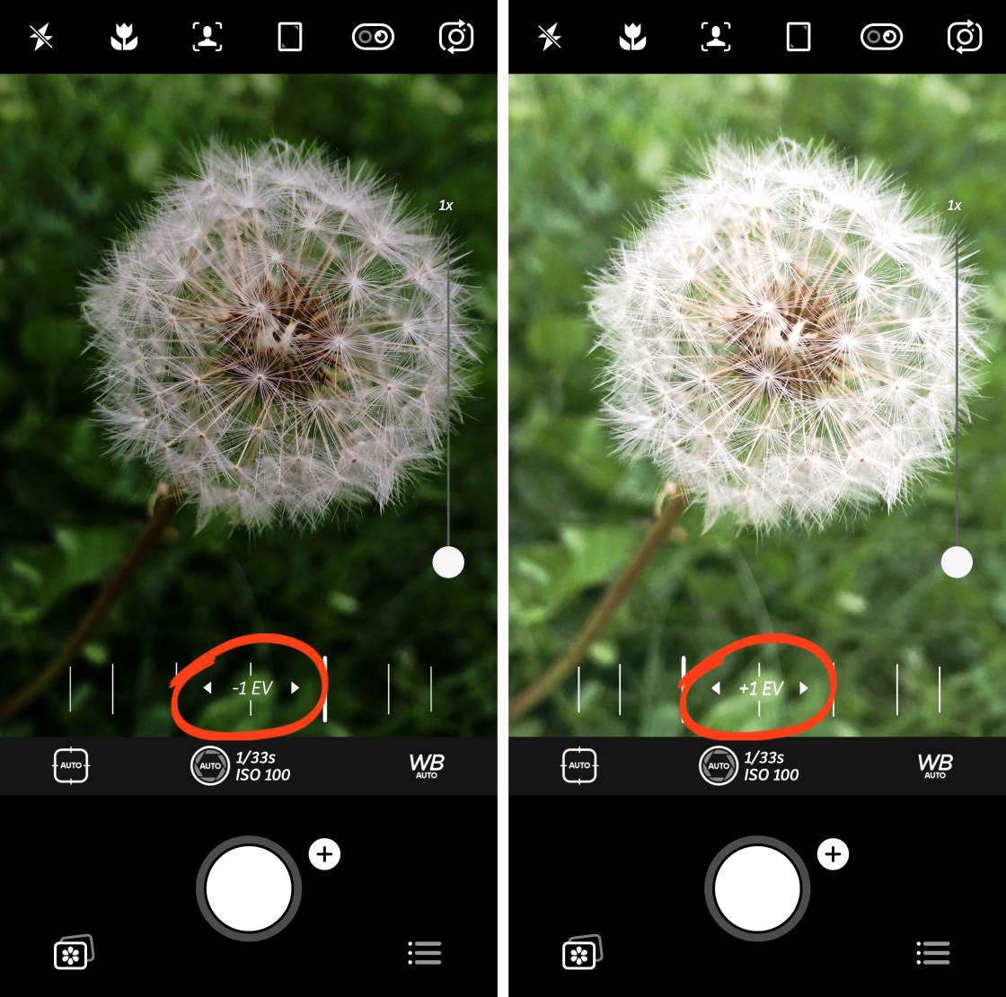 iPhone Camera Controls