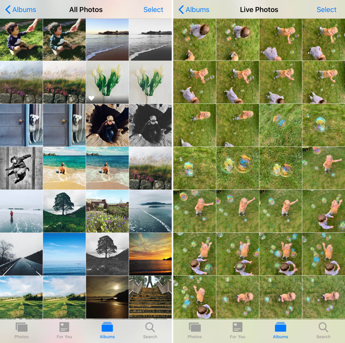 how-to-organize-photos-on-iphone-tips-tricks-nektony