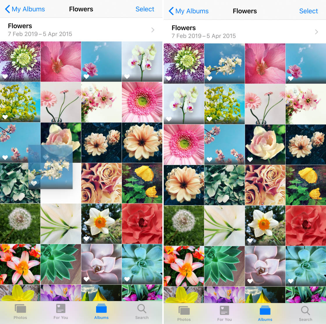 Albums de photos pour iPhone sans script