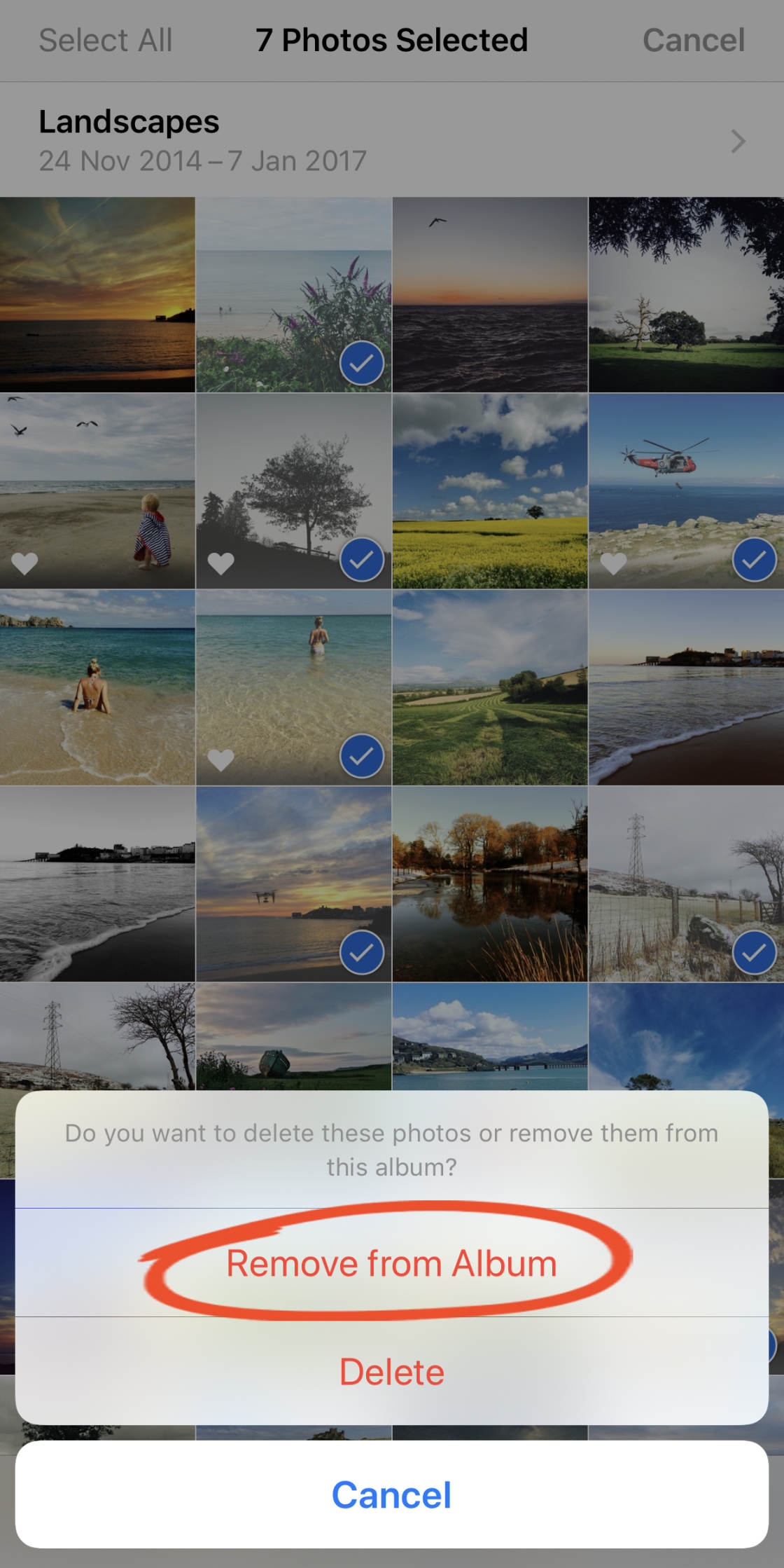 Álbumes de fotos de iPhone sin guión