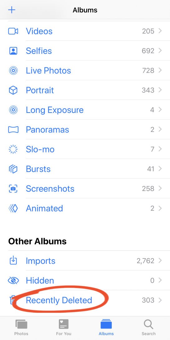 Álbumes de fotos del iPhone