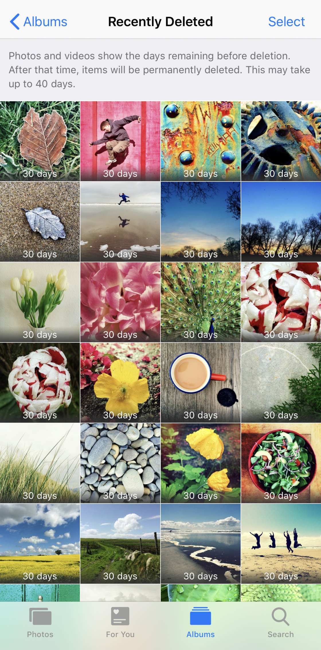 Albums de photos d'iPhone no script