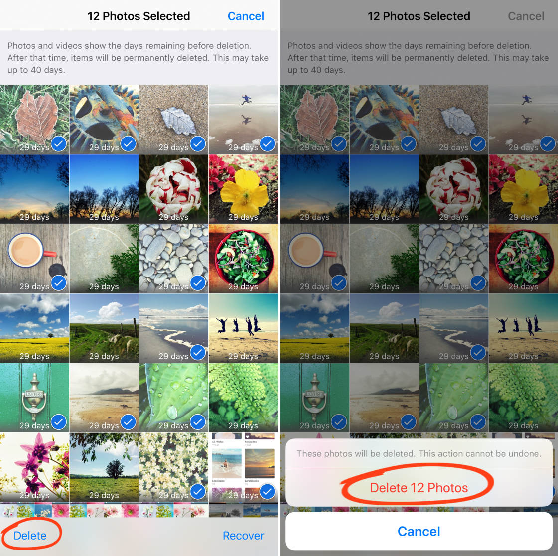 Albums de photos d'iPhone sans script