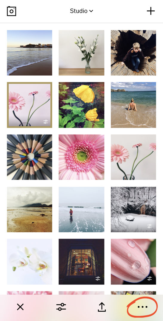 How To Use VSCO Filters To Create Beautiful iPhone Photos