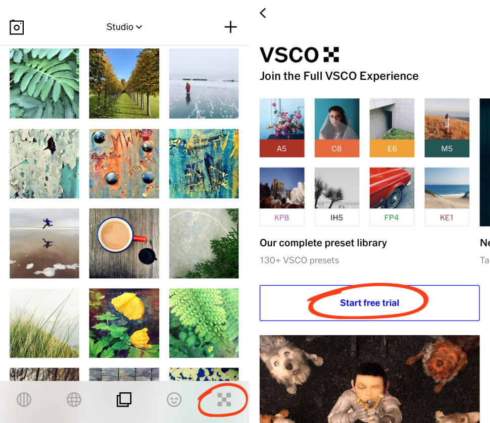 How To Use VSCO App To Shoot & Edit Beautiful iPhone Photos