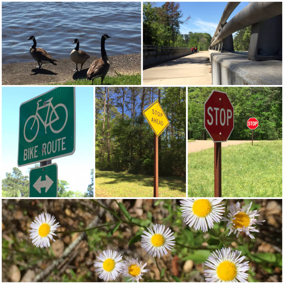 Compare The 5 Best Photo Collage Apps For iPhone