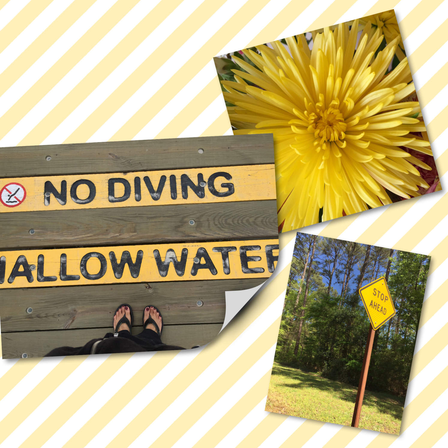 Compare The 5 Best Photo Collage Apps For IPhone