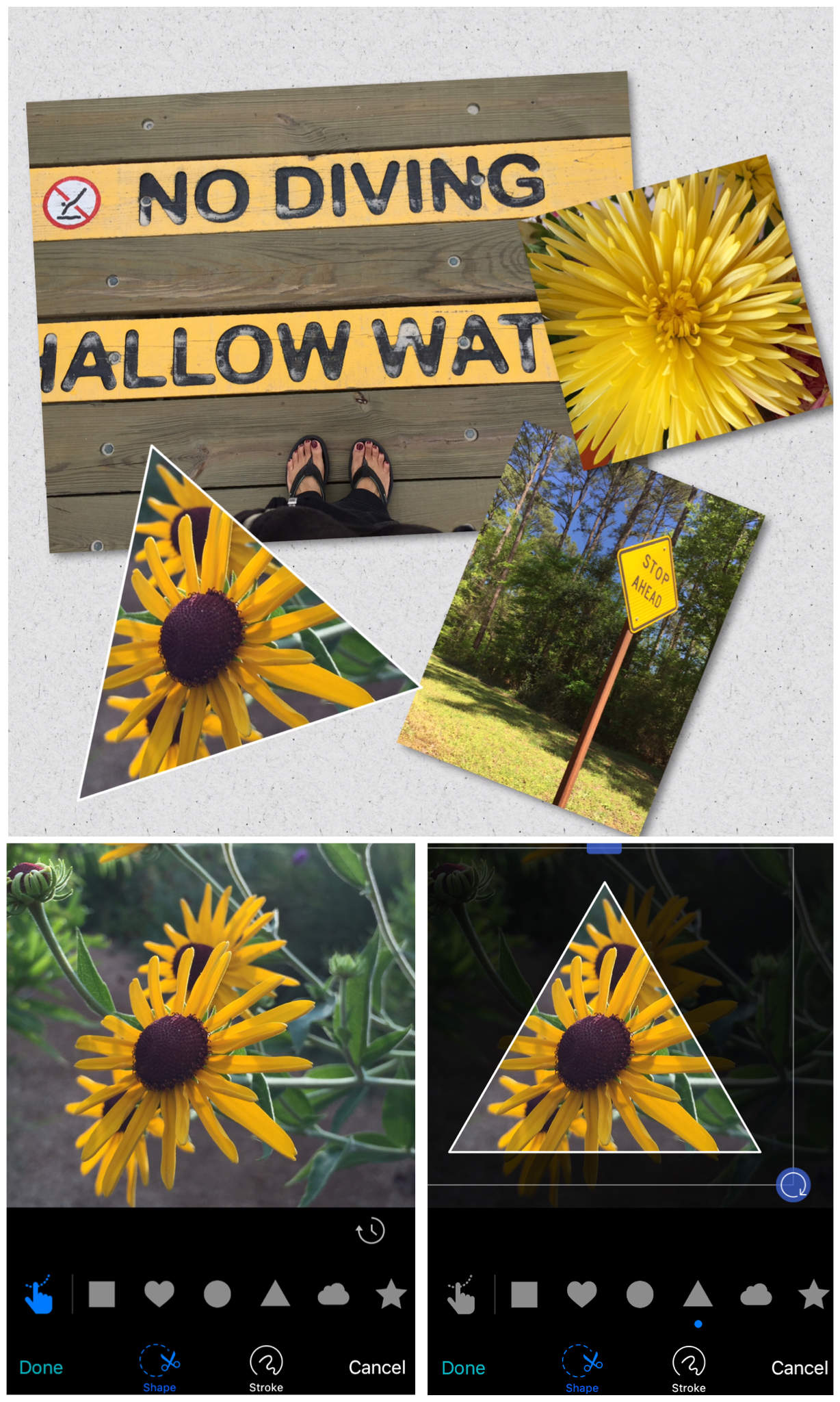 Compare The 5 Best Photo Collage Apps For IPhone