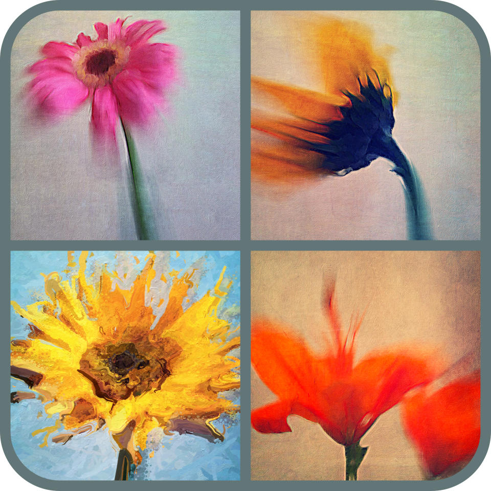 Compare The 5 Best Photo Collage Apps For IPhone