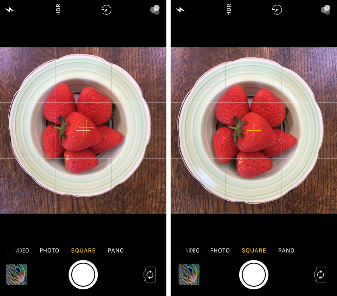 iPhone Photographic camera Features no script